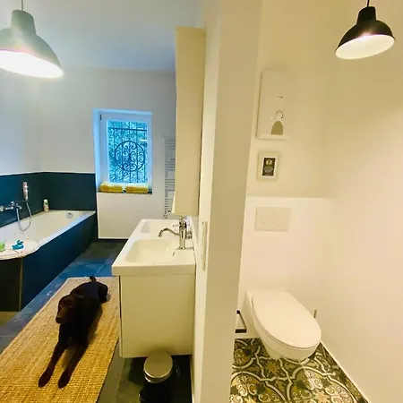 Appartement Get-your-flat Traumhafte Altbau-wohnung In Denkmal-villa 3 Zr Kue Bad 2 Schlafzr 125 M2 Haustier Auf Anfrage - Ruhig & Naturnah Hagen (Arnsberg)