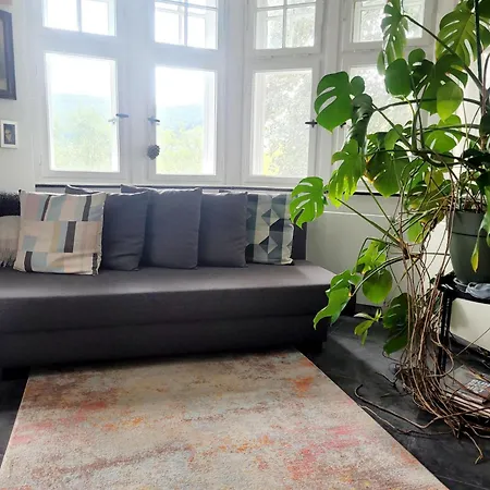 Get-your-flat Traumhafte Altbau-wohnung In Denkmal-villa 3 Zr Kue Bad 2 Schlafzr 125 M2 Haustier Auf Anfrage - Ruhig & Naturnah *