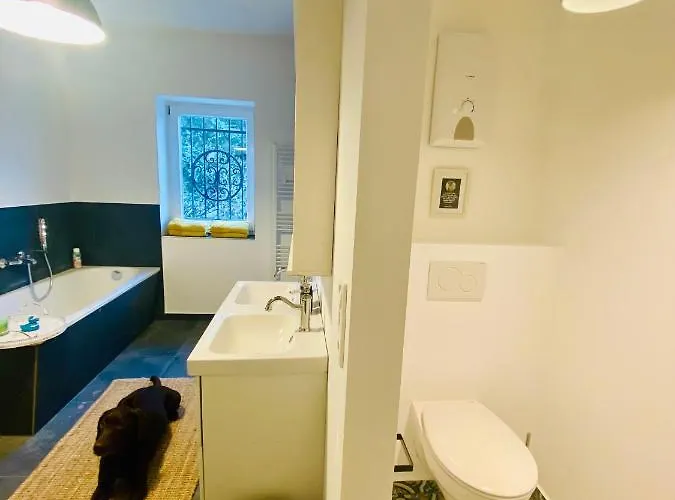 Appartement Get-your-flat Traumhafte Altbau-wohnung In Denkmal-villa 3 Zr Kue Bad 2 Schlafzr 125 M2 Haustier Auf Anfrage - Ruhig & Naturnah Hagen (Arnsberg)